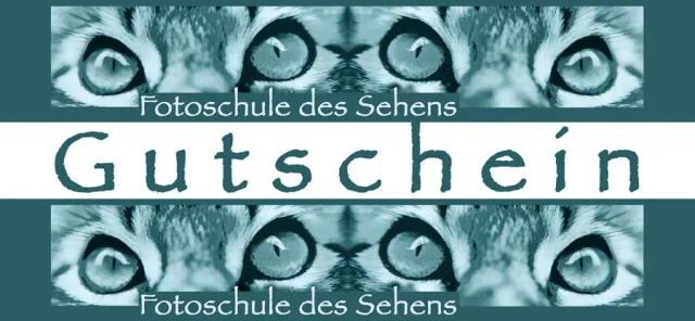 Bild: Nicht nur zur Weihnachtszeit - Geschenkgutscheine von der "Fotoschule des Sehens"