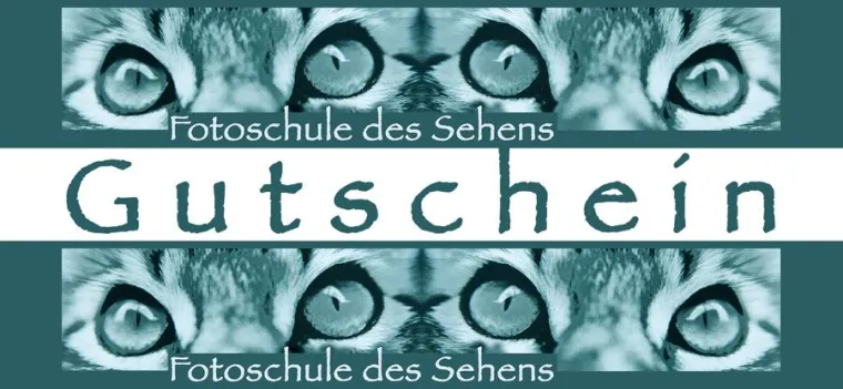 Bild: Nicht nur zur Weihnachtszeit - Geschenkgutscheine von der "Fotoschule des Sehens"