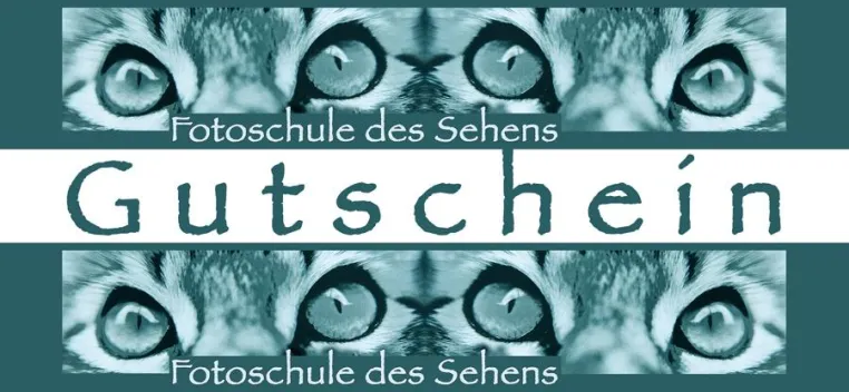Nicht nur zur Weihnachtszeit - Geschenkgutscheine von der "Fotoschule des Sehens" Bild: Nicht nur zur Weihnachtszeit - Geschenkgutscheine von der "Fotoschule des Sehens"