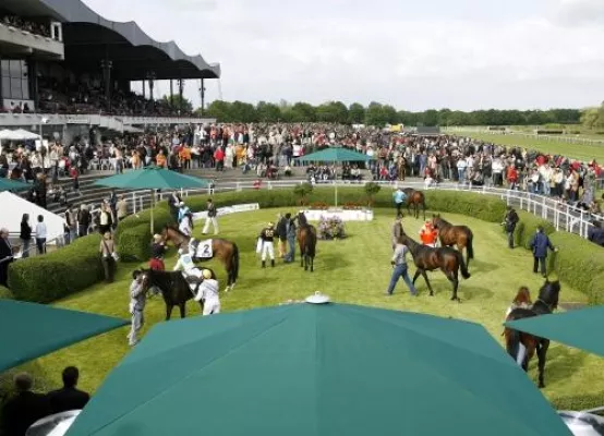 Bild: A day at the races