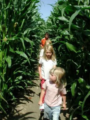 Bild: Vergnügungsspaß im Maislabyrinth des Marienhofs im Nordseebad Otterndorf