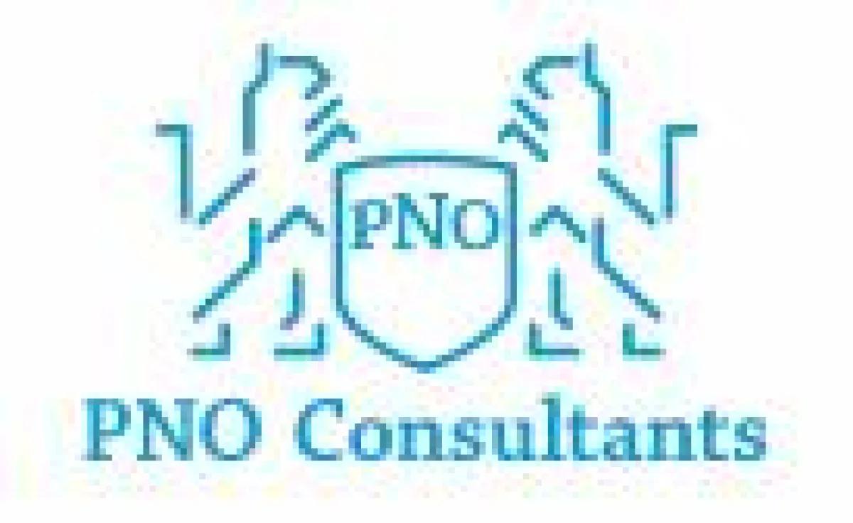 PNO Consultants GmbH - Logo