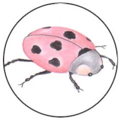 Bild: Kinderstimmen zum Schutze des Regenwaldes