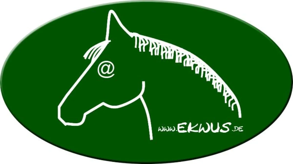 www.Ekwus.com