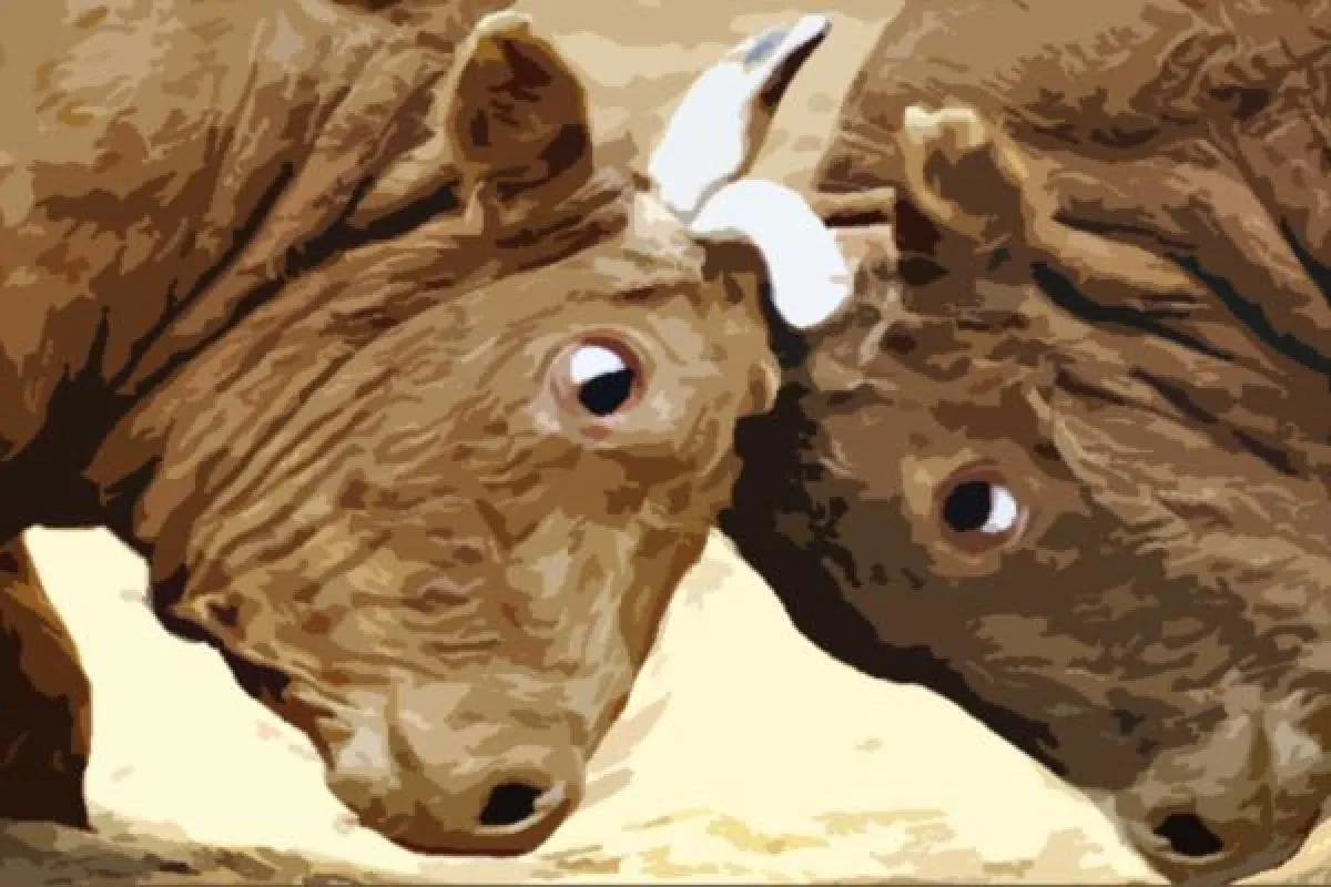 Zieloptimierung = Optimierte Zielvereinbarung