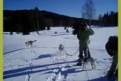 Bild: Bayerischer Wald Wanderurlaub mit Hund Winter und Frühjahr