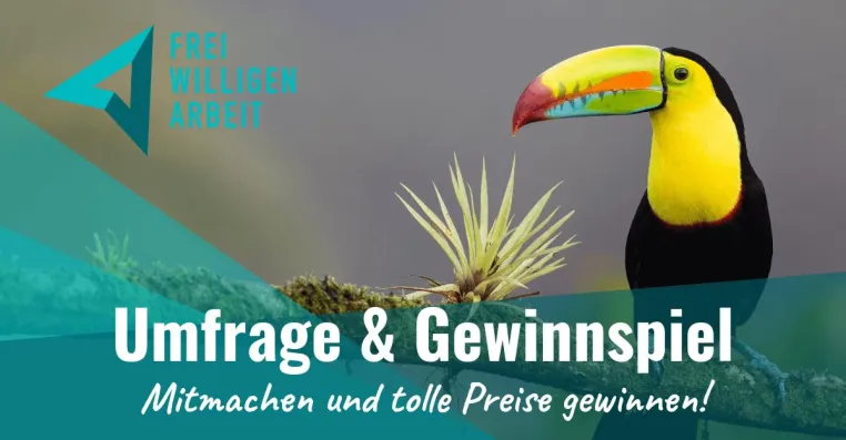 Bild: Umfrage Freiwilligenarbeit gestartet: Ändert der Klimawandel das Reiseverhalten von Volunteers?