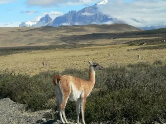 Bild: Mit Djoser nach Patagonien