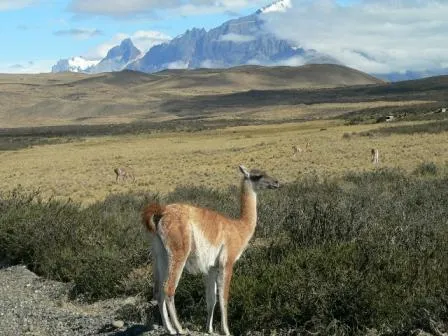 Bild: Mit Djoser nach Patagonien