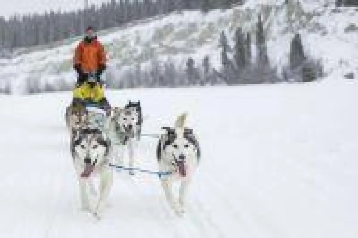 Muktuk Adventures Ranch_Whitehorse_Yukon_Credit-Destination Canada