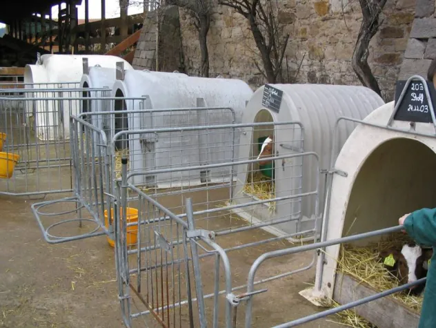 Bild: Tag der Milch - Tag des weißen Bluts