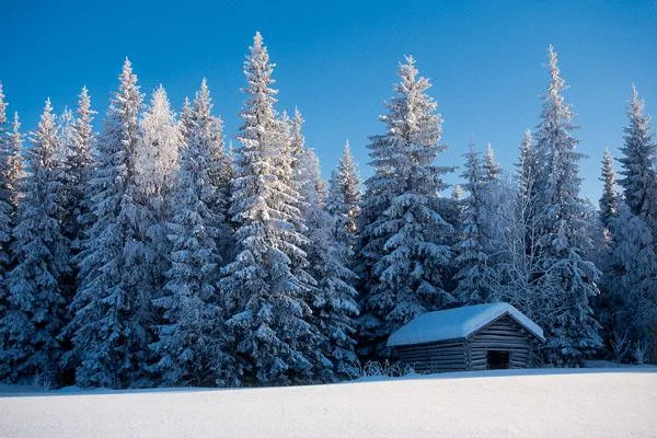 Bild: Finnland-Tage vom 07. bis 10. Mai 2008 im Levantehaus Hamburg