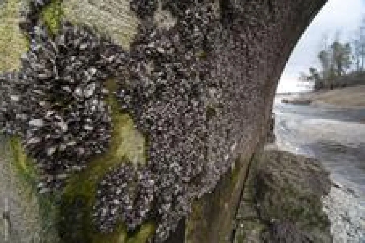 Foto: © cehermosilla - Fotolia.com