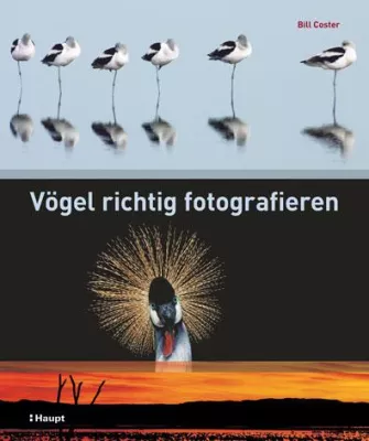 Bild: Vögel richtig fotografieren - Neuerscheinung im Haupt Verlag