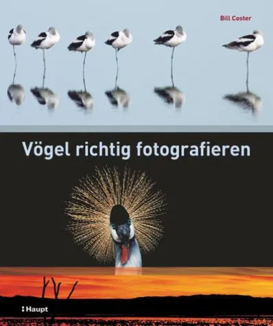Vögel richtig fotografieren - Neuerscheinung im Haupt Verlag Bild: Vögel richtig fotografieren - Neuerscheinung im Haupt Verlag