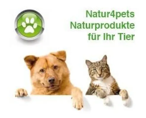 Bild: Fehlernährung des Hundes trotz Futterüberfluss