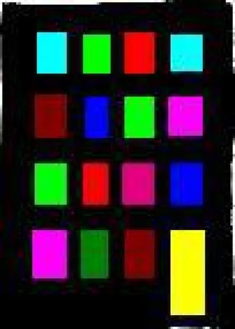 Bild: Offenheit und Lebensfreude – SM auf dem CSD in Hamburg