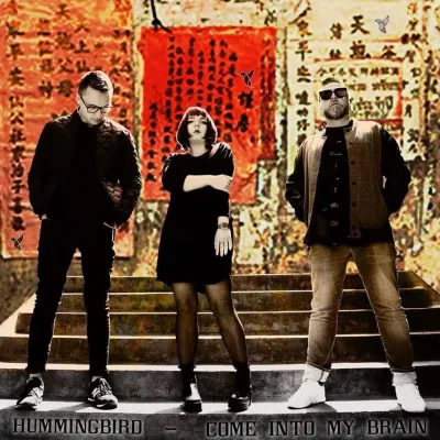 Hummingbird – Come Into My Brain – Debütalbum Bild: Hummingbird – Come Into My Brain – Debütalbum