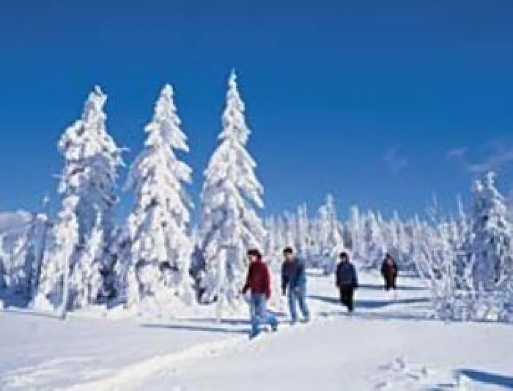 Ein Winterurlaub für alle Wünsche