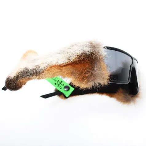 Bild: Friendly Soiree in Berlin