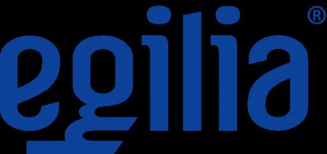 Bild: EGILIA erweitert das Seminarangebot um „Enterprise Project Management mit MS Project Server“