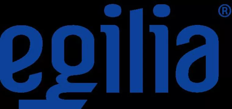 Bild: EGILIA erweitert das Seminarangebot um „Enterprise Project Management mit MS Project Server“