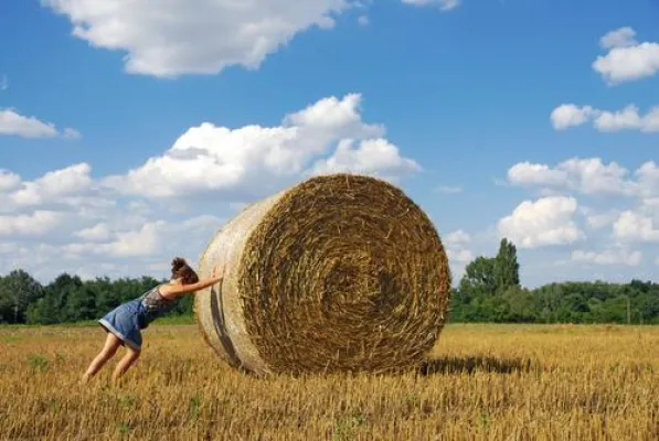 Werbung für Existenzgründer – Günstig und effektiv starten Bild: Werbung für Existenzgründer – Günstig und effektiv starten