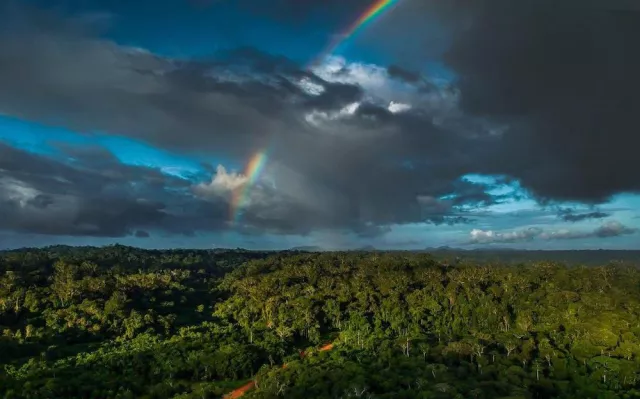 Bild: Übergabe Klima Appell an UNFCCC, Proteste in Madrid und Aufruf zum globalen Regenwaldtag am 20.12.19