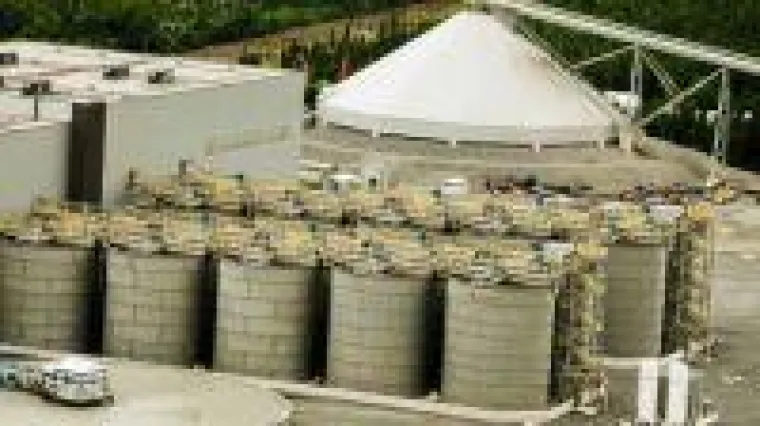 Bild: Neulinge wagen sich jetzt an die Börsen