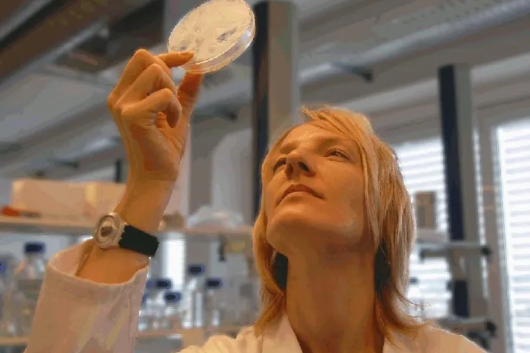 tgcBIOMICS - Preisträger beim Wettbewerb - Land der Ideen - ausgezeichnet Bild: tgcBIOMICS - Preisträger beim Wettbewerb - Land der Ideen - ausgezeichnet