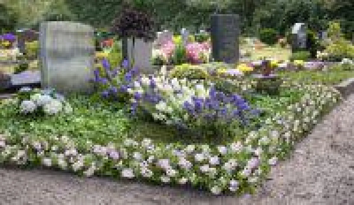 Bloombux® Nugget - ein Blütentraum im Sommer auf dem Grab