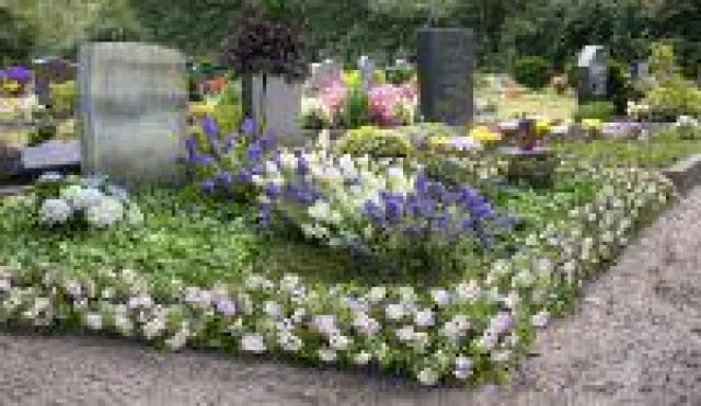 Bild: Bloombux® bereichert die Friedhöfe