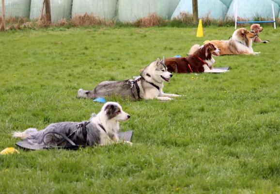 Bild: Wenn’s im Training einfach nicht klappen will…