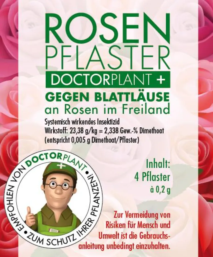 Blattläuse an Rosen einfach bekämpfen mit Rosenpflaster