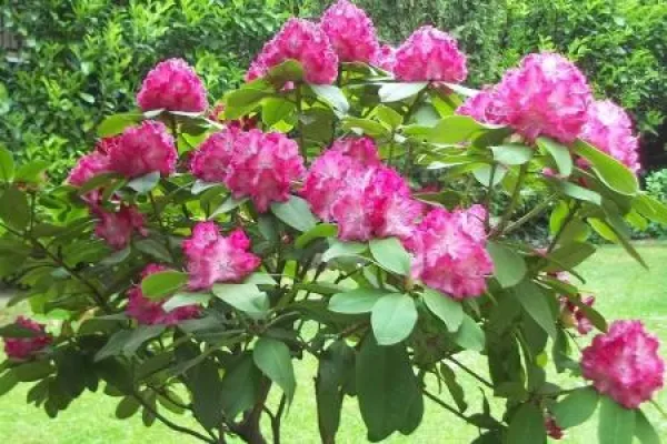 Bild: Der Europäische Gerichtshof für Menschenrechte und Abtreibung