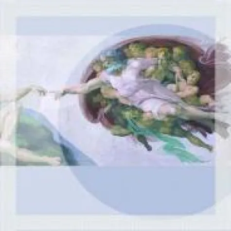 Das Gehirn und die Anatomie der Befreiung Bild: Das Gehirn und die Anatomie der Befreiung