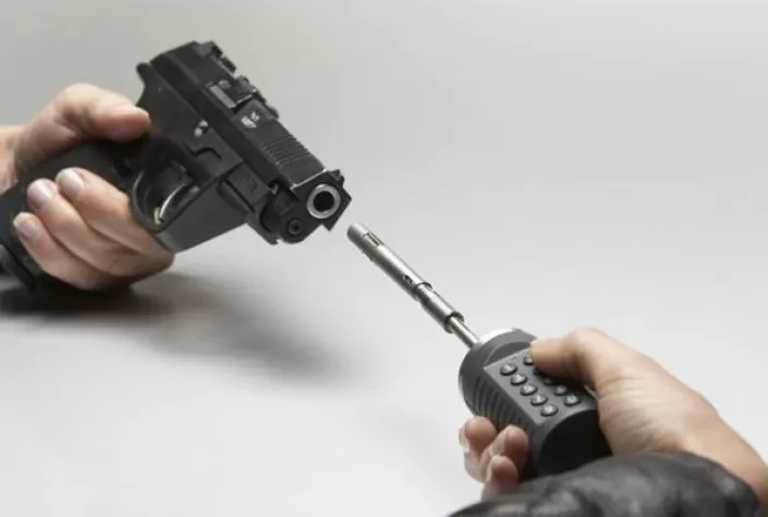 Bild: Schusswaffen sollten besser gegen Missbrauch gesichert sein