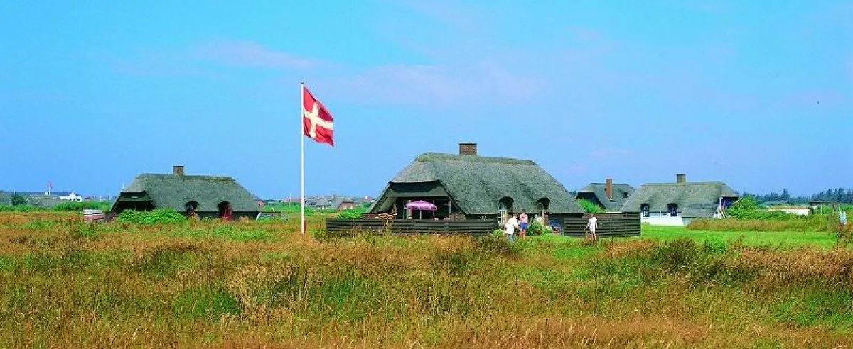 Ferienhausidylle in Ulfborg