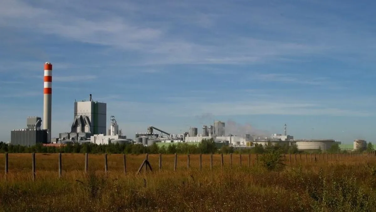 Ökostromlieferant Holzindustrie: Das Werk der Zellstoff Stendal GmbH ist gleichzeitig Deutschlands größtes Biomassekraftwerk.