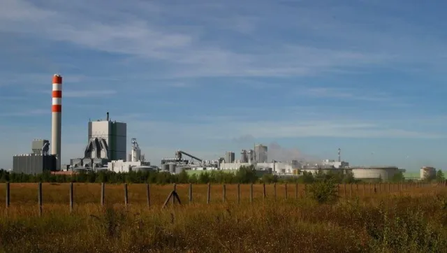 Bild: Beitrag zum Atomausstieg: Ökostrom aus der Holzindustrie