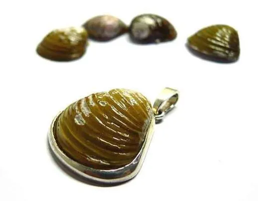 Bild: Schmucke Grüße aus der Elbe: Mit Silberschmuck aus Elbmuscheln