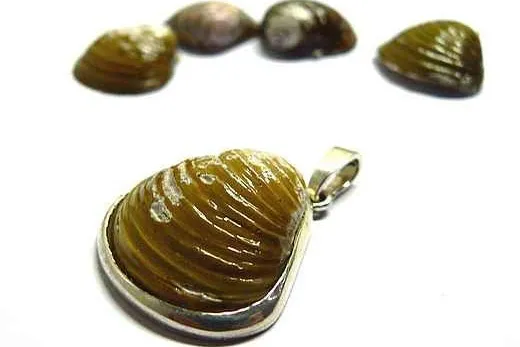 Schmucke Grüße aus der Elbe: Mit Silberschmuck aus Elbmuscheln Bild: Schmucke Grüße aus der Elbe: Mit Silberschmuck aus Elbmuscheln
