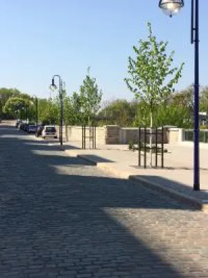 Bild: Effektiver Wegbereiter: RADILOX von tegra unterstützt Baumwachstum