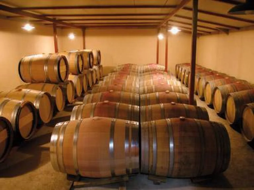 Wein Mallorca - Bodega Armero i Adrover