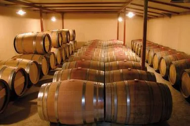 Bodega Armero i Adrover - Vom Hühnerhof zur Weinschmiede Bild: Bodega Armero i Adrover - Vom Hühnerhof zur Weinschmiede