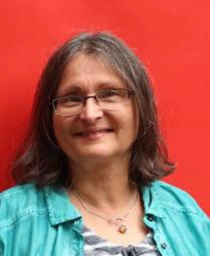 Brigitte Freihold (DIE LINKE. Rheinland-Pfalz)