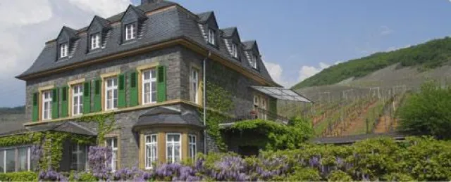 Neue Spitzen-Weine von Dr. Loosen bei BELVINI.DE Bild: Neue Spitzen-Weine von Dr. Loosen bei BELVINI.DE