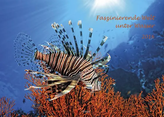 Wandkalender 'Faszinierende Welt unter Wasser 2016' Bild: Wandkalender 'Faszinierende Welt unter Wasser 2016'