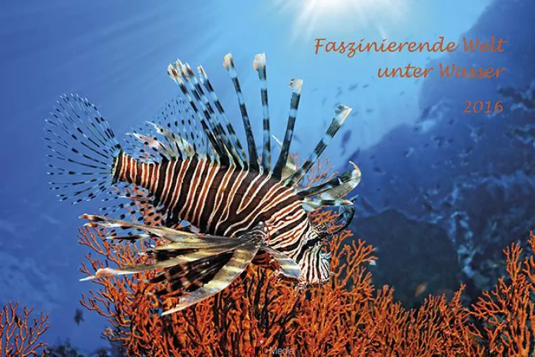 Bild: Wandkalender 'Faszinierende Welt unter Wasser 2016'
