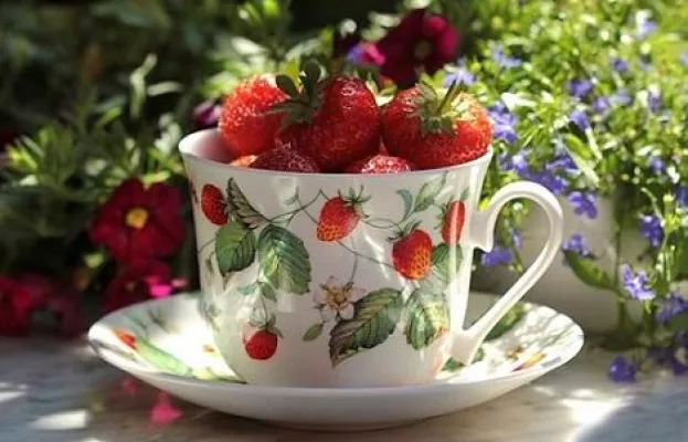 Bild: Low Carb Erdbeereis